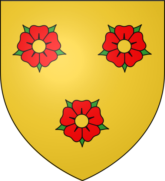 Fichier:Armes de la famille de Mahieu.png